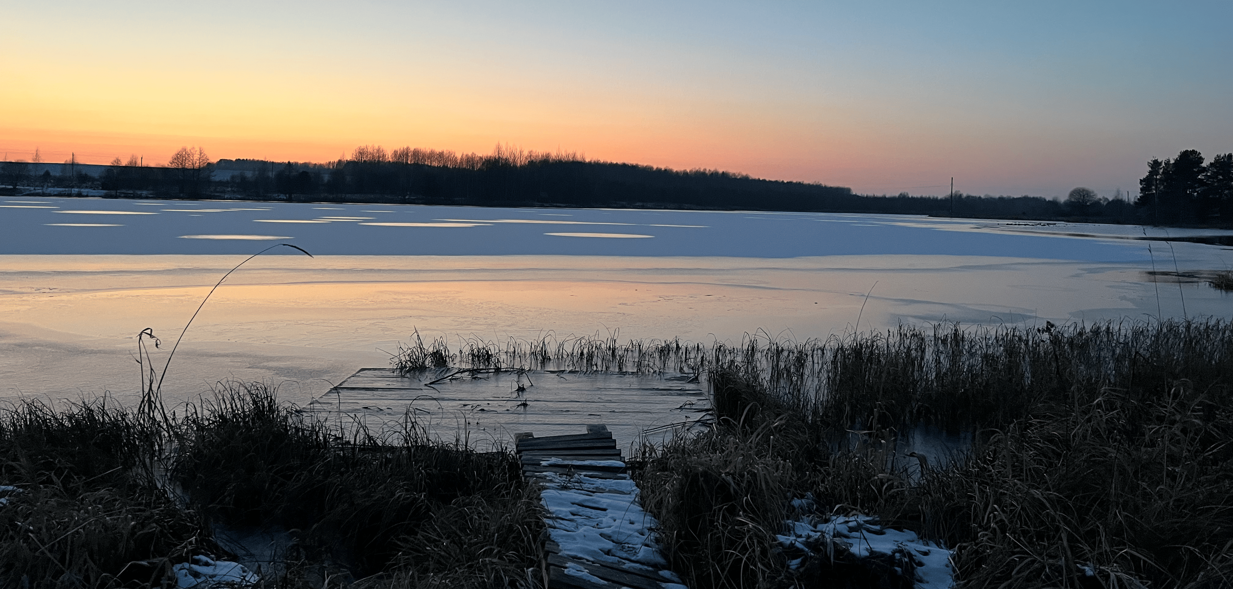 Zakazane Państwo kontakt